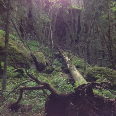 woplyokoil's profile picture. Rides Nishiki bike, reads books, listen to music, and HATES Facebook.