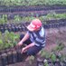 Mahardika Rahmadan (@mnisbrown) Twitter profile photo Mahardika Rahmadan (@mnisbrown) Twitter profile photo
