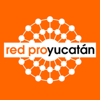 Red Pro Yucatán(@RedProYucatan) 's Twitter Profile Photo