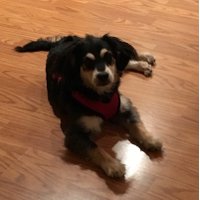 Erin Stripto (@striptoe) 's Twitter Profile