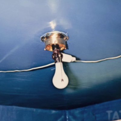 fzpacifico's profile picture. Lord