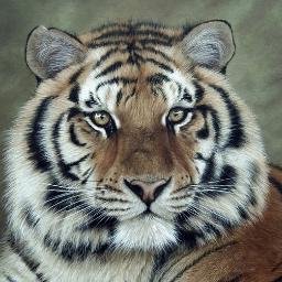 Jarik__'s profile picture. Экономист, люблю военную тематику.
