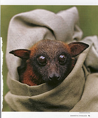 BDaggerLee's profile picture. she/her