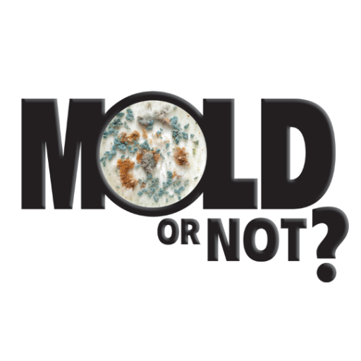 Is your home making you sick? Is it toxic mold? Find out now! https://t.co/SY4RMAMdrd