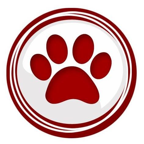 We create, manage & lovingly support pet business websites that are beautiful, mobile-friendly, and rank well in Google. https://t.co/spmrpqIsuw
