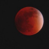 Grant Findlater (@cptplanespotter) 's Twitter Profile