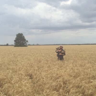 ADR_Madden's profile picture. Grain Grower Northern NSW.