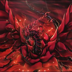 Hi my name is Rose and I'm a Rose Pink Dragon. Mother @XCynder .
