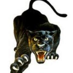 CSHS_Announce's profile picture. Unofficial Account for Central Springs High School Announcements