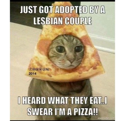 mikef884's profile picture. 