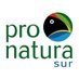 Pronatura Sur (@pronaturasur) Twitter profile photo Pronatura Sur (@pronaturasur) Twitter profile photo