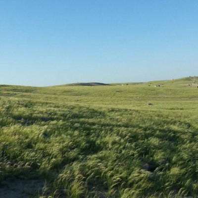 yy9F8o27ykddDCa's profile picture. استغفرالله            سبحان الله.