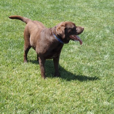 wltoms's profile picture. Family Man