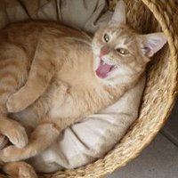 Wetter Fichtenberg (@derwettermannfi) Twitter profile photo