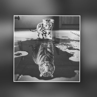 s555241's profile picture. /God First/ Instagram:IAM_FRPXIII  Snapchat:Lebron_210