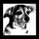 Donna/Gram - @Gram_ - Twitter