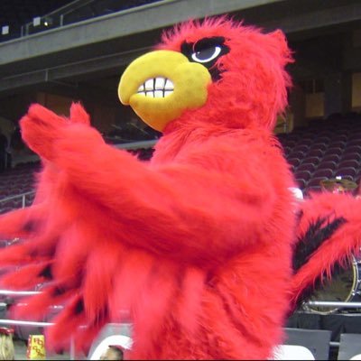 All the news about SCHS pep section themes, dates & times! Go Cards! Get hype & get buckets