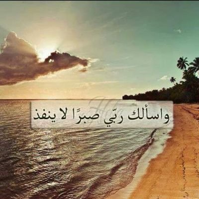 aamna998's profile picture. 