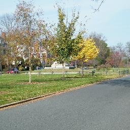 righttreeplace's profile picture. Concerned Citizens Promoting The Right Tree in the Right Place on the Washington Avenue Mall