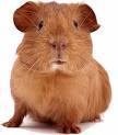 kathsme's profile picture. ICT Consultant, educator, teacher, trainer