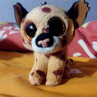Caspina (@chincheta0) 's Twitter Profile