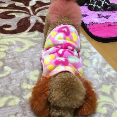 EbiSmap's profile picture. 大野→阿南一中→阿南工業→卒業 社会人剣道