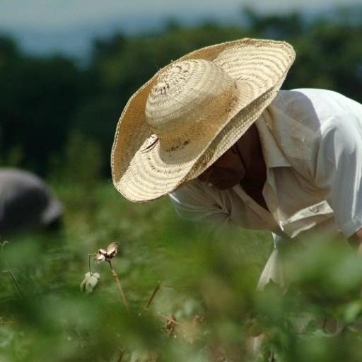 #ecologia #sustentabilidad #agricultura #Ag #organic #food
Contacto: manoloherrerag@gmail.com