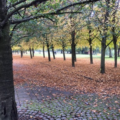 S_f_standard's profile picture. An email standard. The 'Sincerely & Faithfully' email manifesto aims to enable more effective communication. Clear, shared expectations for email. Join us!