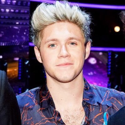 choncetakinnial's profile picture. I love that cute little Irish boy #1DNiall