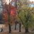 elcha888's profile image