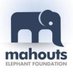 MAHOUTS (@mahoutselephant) Twitter profile photo MAHOUTS (@mahoutselephant) Twitter profile photo