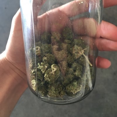 need tree DM and will hit you up San tan valley tree express