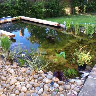 Specialist in pond construction and maintenance. We offer a bespoke one to one service for your pond or lake from cleaning to construction