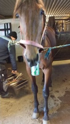 patrikrask's profile picture. 