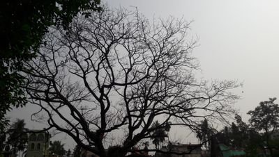 zircon_dip's profile picture. junior engineer at hindalco industries ltd.