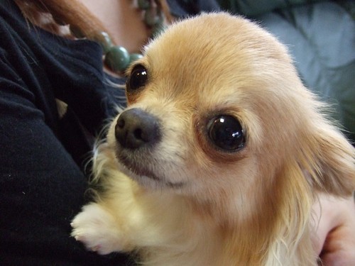 takeiyu's profile picture. 