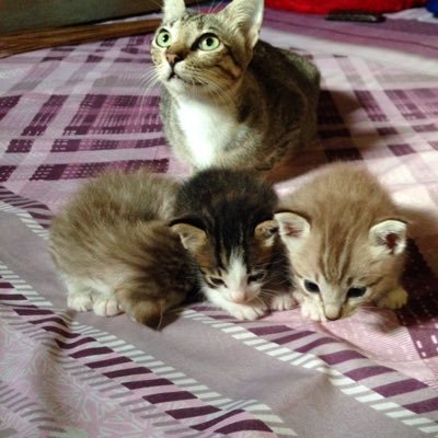 UcyUcy1's profile picture. @ucy