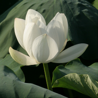 takuma araki (@tarayan) 's Twitter Profile