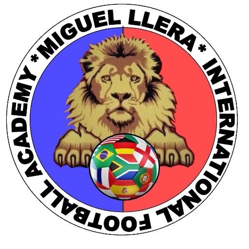 Miguel Llera Academy