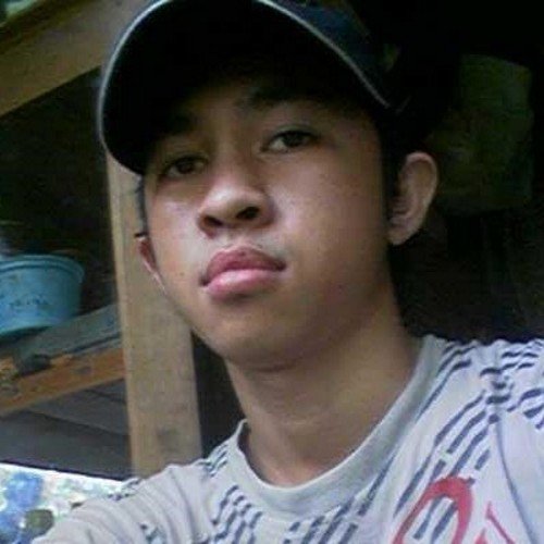 MaulEffendy's profile picture. gemini