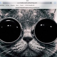 Mary Agnew (@minimary13579) 's Twitter Profile