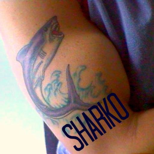 Sharko469 I swim in the ocean looking for 🧔🏻