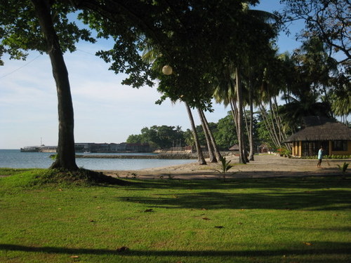 buddypina's profile picture. 