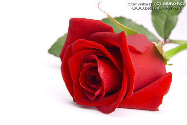 TAWANE_BH's profile picture. 