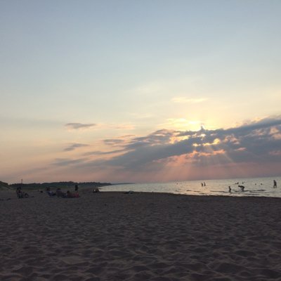 megvangaal's profile picture. 