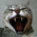mayosuke (@mayosuke) Twitter profile photo