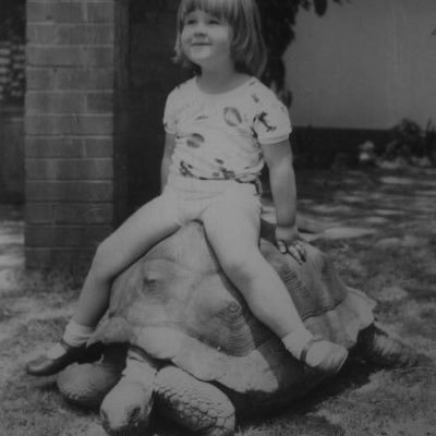 I'm riding a giant tortoise, what more do you want?