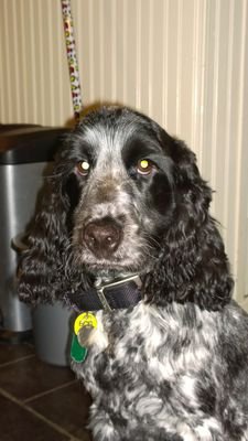 NTJones15's profile picture. 