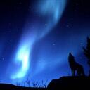 Stuart Whitman - @Name_1041 - Twitter