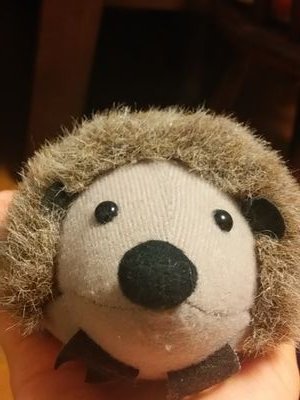 heartofkokoro's profile picture. Hakuyo